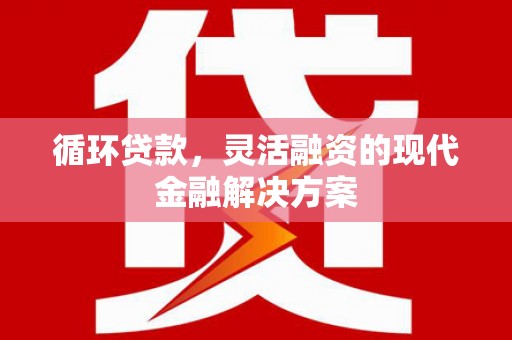 港闸循环贷款，灵活融资的现代金融解决方案