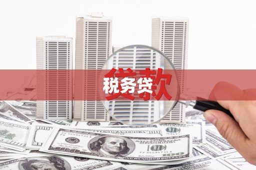 港闸税务贷