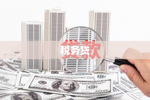 港闸税务贷