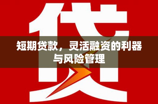 港闸短期贷款，灵活融资的利器与风险管理