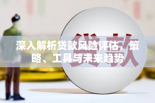 港闸深入解析贷款风险评估，策略、工具与未来趋势