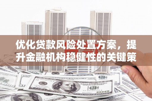 港闸优化贷款风险处置方案，提升金融机构稳健性的关键策略