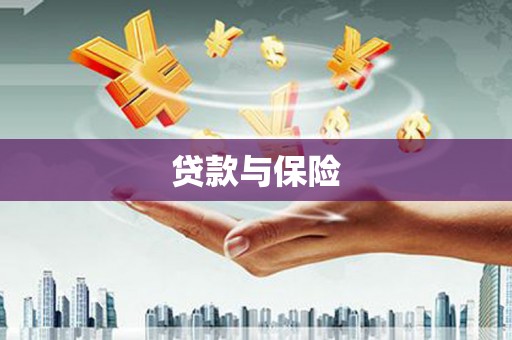 港闸贷款与保险