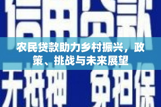 港闸农民贷款助力乡村振兴，政策、挑战与未来展望
