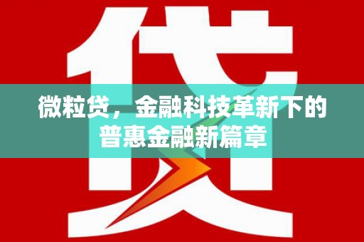 港闸微粒贷，金融科技革新下的普惠金融新篇章