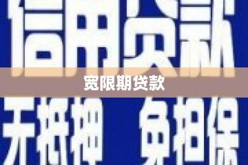 港闸宽限期贷款