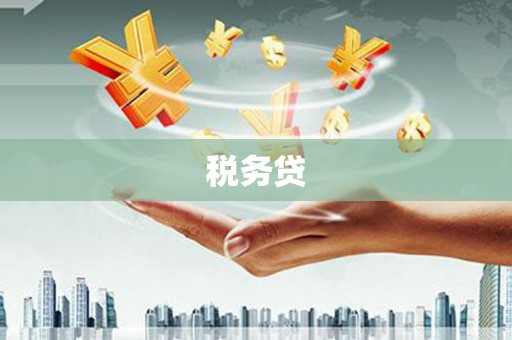 港闸税务贷
