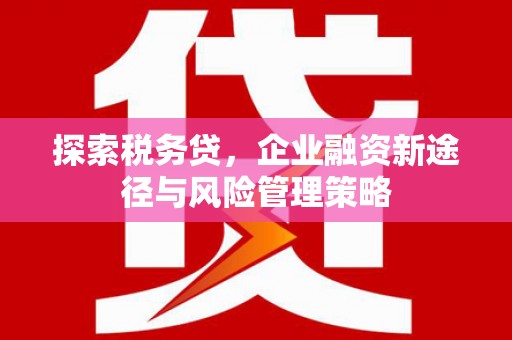 港闸探索税务贷，企业融资新途径与风险管理策略