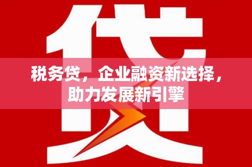 港闸税务贷，企业融资新选择，助力发展新引擎