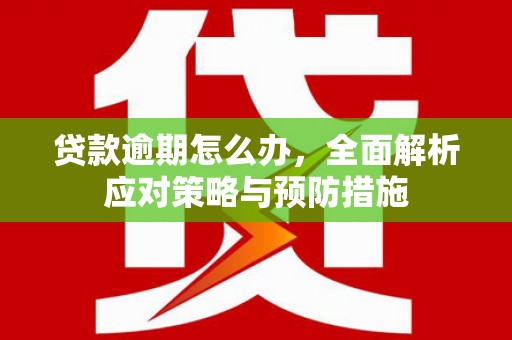 港闸贷款逾期怎么办，全面解析应对策略与预防措施