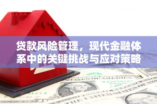 港闸贷款风险管理，现代金融体系中的关键挑战与应对策略