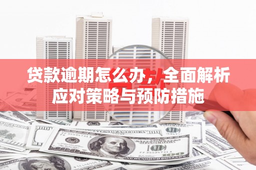 港闸贷款逾期怎么办，全面解析应对策略与预防措施