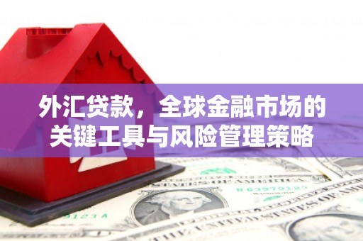 港闸外汇贷款，全球金融市场的关键工具与风险管理策略