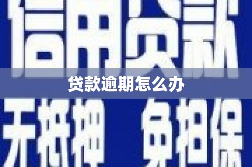 港闸贷款逾期怎么办