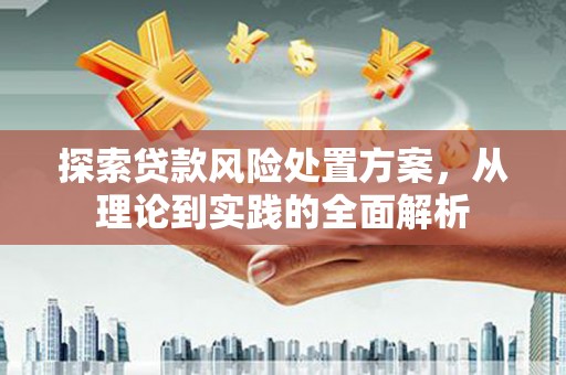 港闸探索贷款风险处置方案，从理论到实践的全面解析