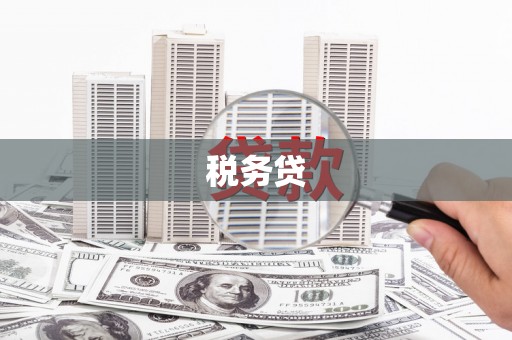 港闸税务贷