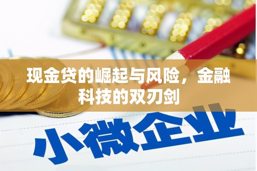 港闸现金贷的崛起与风险，金融科技的双刃剑