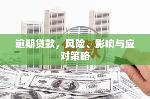 港闸逾期贷款，风险、影响与应对策略