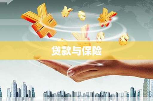 港闸贷款与保险