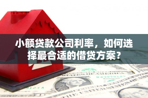 港闸小额贷款公司利率，如何选择最合适的借贷方案？