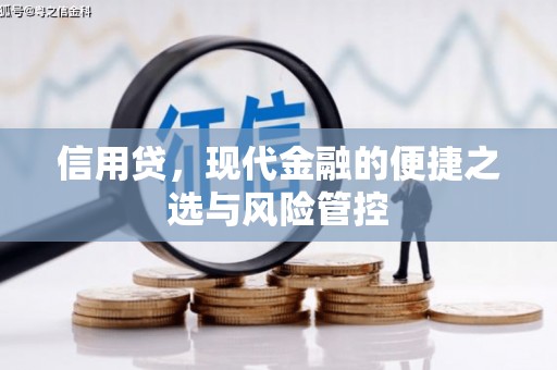 港闸信用贷，现代金融的便捷之选与风险管控