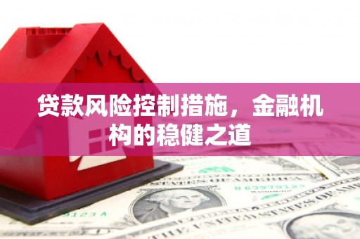 港闸贷款风险控制措施，金融机构的稳健之道