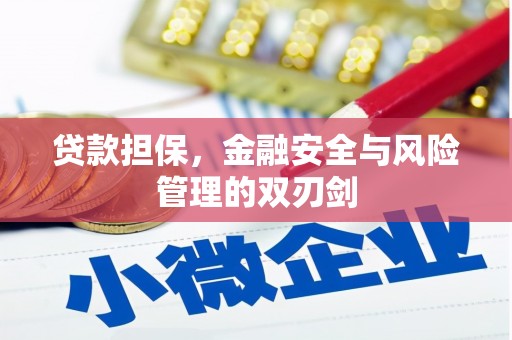 港闸贷款担保，金融安全与风险管理的双刃剑