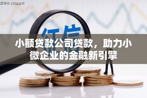 港闸小额贷款公司贷款，助力小微企业的金融新引擎