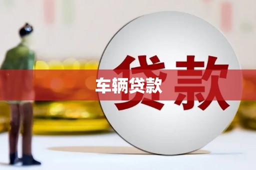 港闸车辆贷款