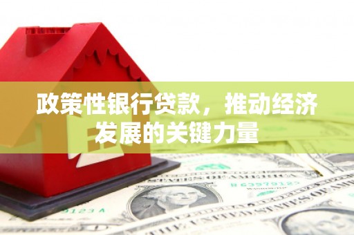 港闸政策性银行贷款，推动经济发展的关键力量