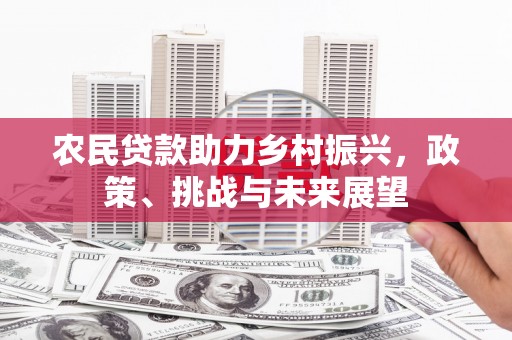 港闸农民贷款助力乡村振兴，政策、挑战与未来展望