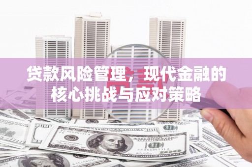 港闸贷款风险管理，现代金融的核心挑战与应对策略