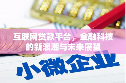 港闸互联网贷款平台，金融科技的新浪潮与未来展望