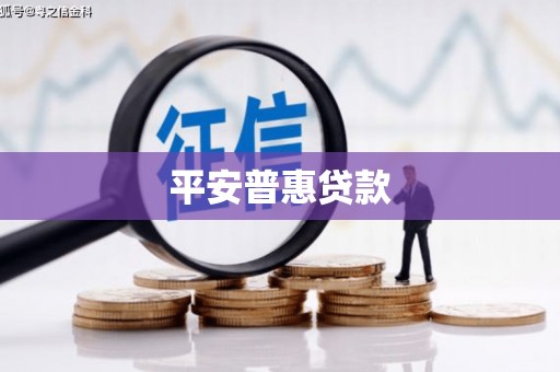 港闸平安普惠贷款