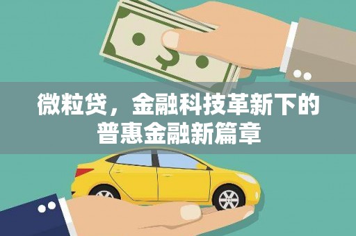 港闸微粒贷，金融科技革新下的普惠金融新篇章