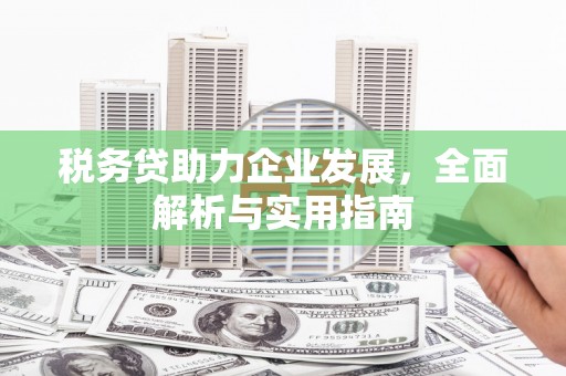 港闸税务贷助力企业发展，全面解析与实用指南