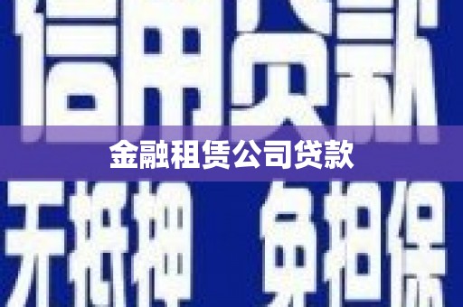 港闸金融租赁公司贷款