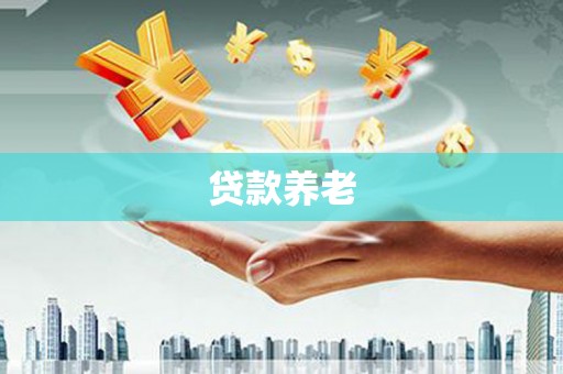 港闸贷款养老