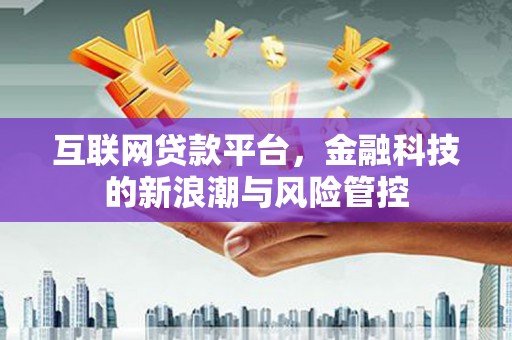 港闸互联网贷款平台，金融科技的新浪潮与风险管控