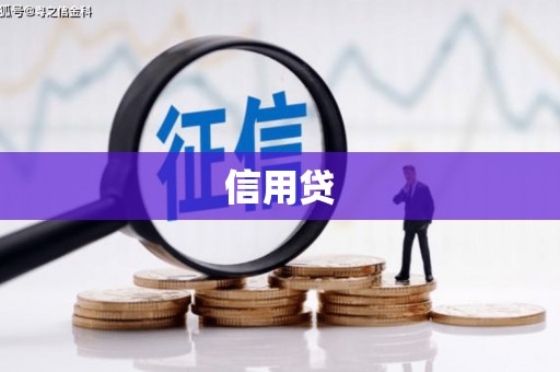 港闸信用贷