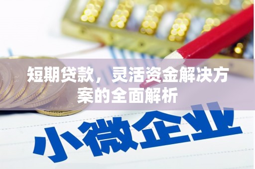 港闸短期贷款，灵活资金解决方案的全面解析