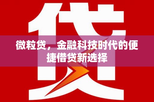 港闸微粒贷，金融科技时代的便捷借贷新选择