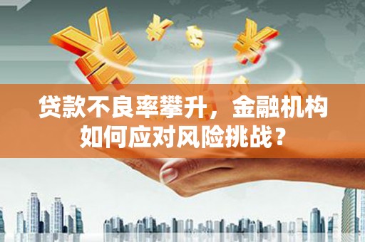 港闸贷款不良率攀升，金融机构如何应对风险挑战？