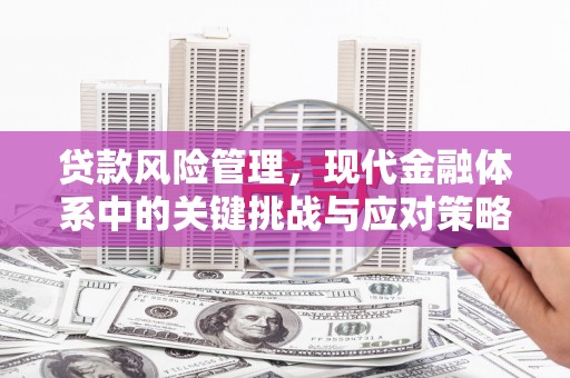 港闸贷款风险管理，现代金融体系中的关键挑战与应对策略