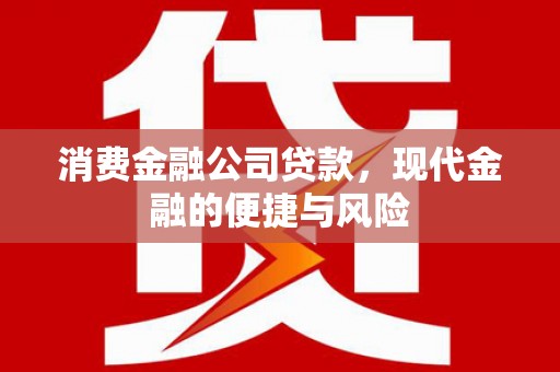 港闸消费金融公司贷款，现代金融的便捷与风险