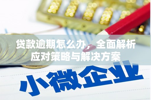 港闸贷款逾期怎么办，全面解析应对策略与解决方案