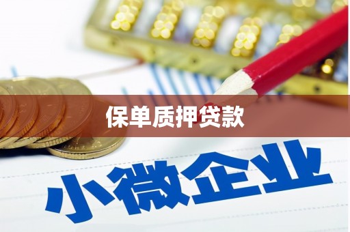 港闸保单质押贷款