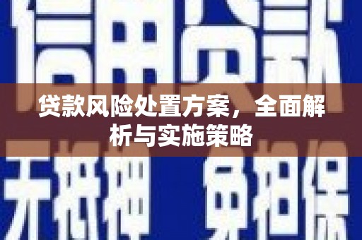 港闸贷款风险处置方案，全面解析与实施策略