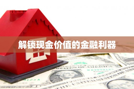 港闸解锁现金价值的金融利器