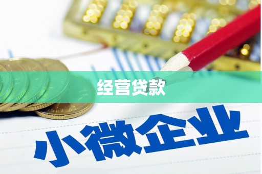 港闸经营贷款